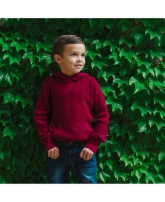 Baby Boys Long Sleeve Hooded Henley Sweater