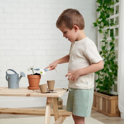 Toddler Boys Short Sleeve T-Shirts, 3 Pack