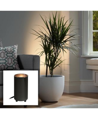 Can Mini Uplighting Indoor Accent Spot-Light Plug-In Floor Plant Home Decorative Art Desk Black Finish 6 1/2" High