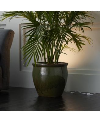 Set of 2 Can Uplighting Indoor Accent Spot-Lights Plug-In Floor Plant Home Decorative Art Desk White Finish 6 1/2" High