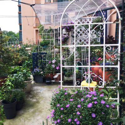 2 Pack 71" Rustproof Metal Trellises for Climbing Plants