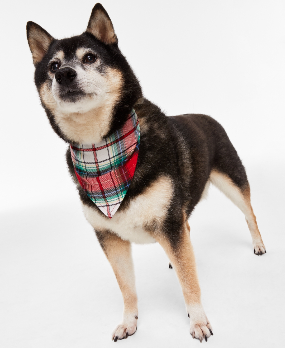 Holiday LaneMatching Family Pet Bandana, Created for Macy's - Winterton Plaid
