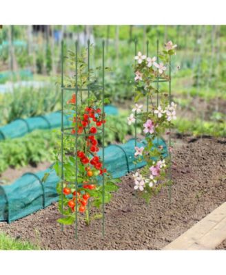 2-Pack Garden Trellis Tomato Cage with Adjustable Height