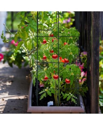 Garden Collection Trellis Set, 4-Pack