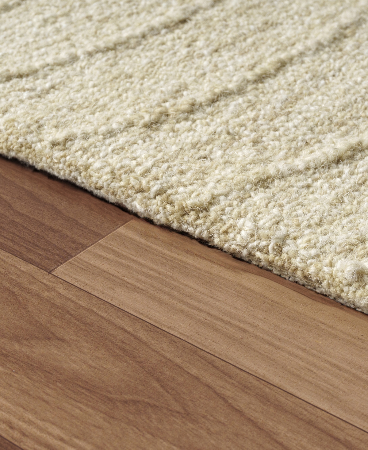Lr Home Hadley 2'x3' Area Rug