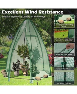 5.5 x 5.5 x 6 Feet Portable Mini Greenhouse with All-Weather PE Cover