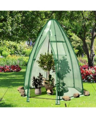 5.5 x 5.5 x 6 Feet Portable Mini Greenhouse with All-Weather PE Cover