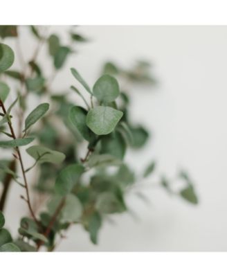 6ft Artificial Eucalyptus with Woven Seagrass Plant Basket