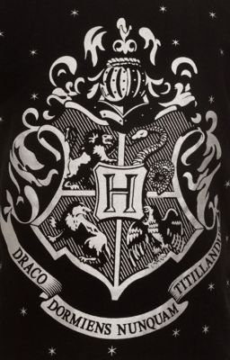 Toddler Girls 3 Pack T-Shirts