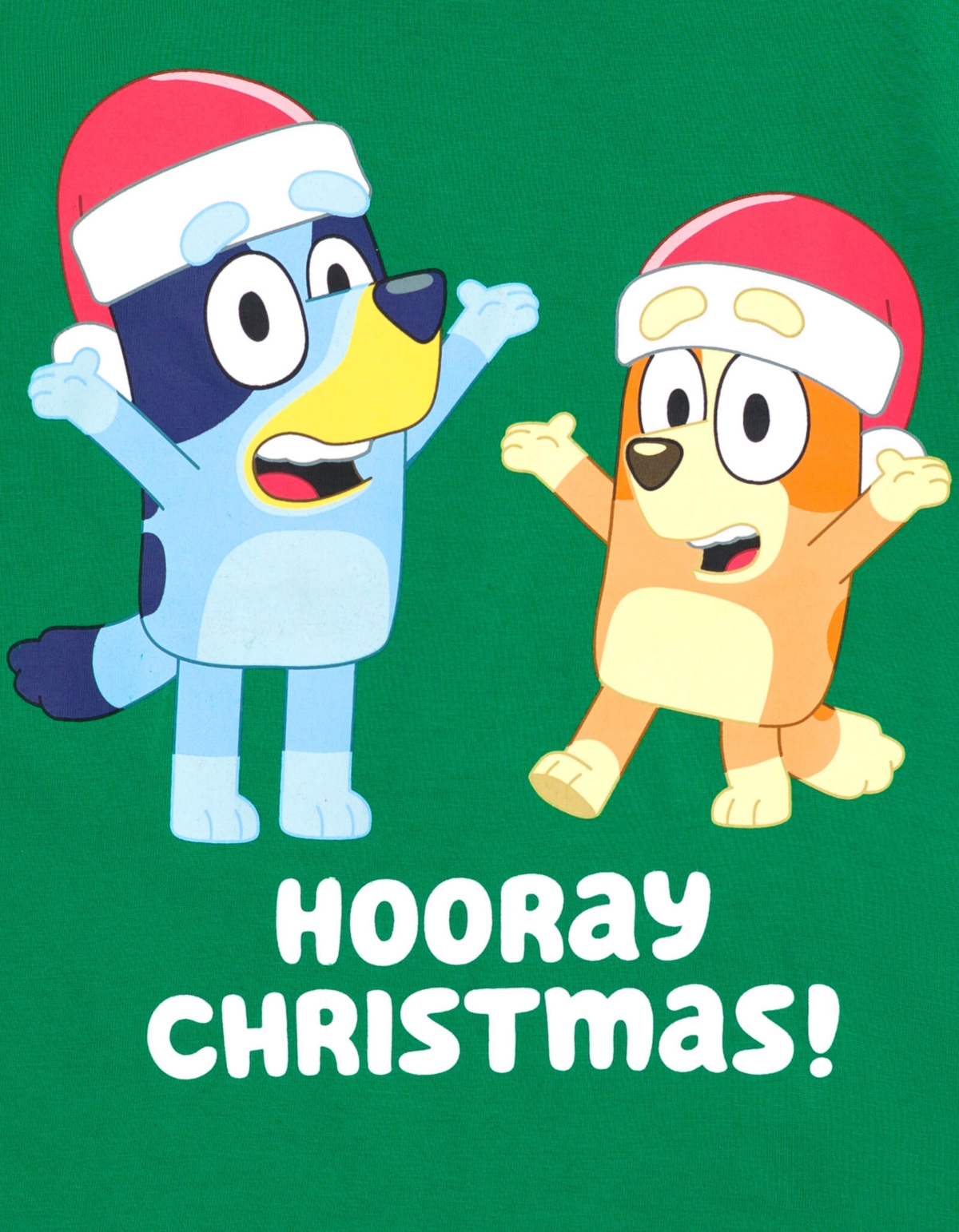 Bluey Toddler Boys T-Shirt -/ christmas