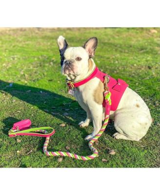 PoisePup Pet Dog Harness - Candy swirl