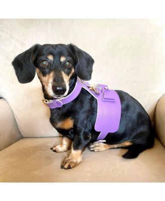 Pet Dog Harness - Lavish Lavender