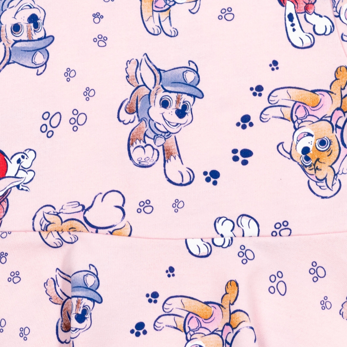 Paw Patrol Toddler Girls Marshall Chase Skye Skater Dress and Scrunchie to