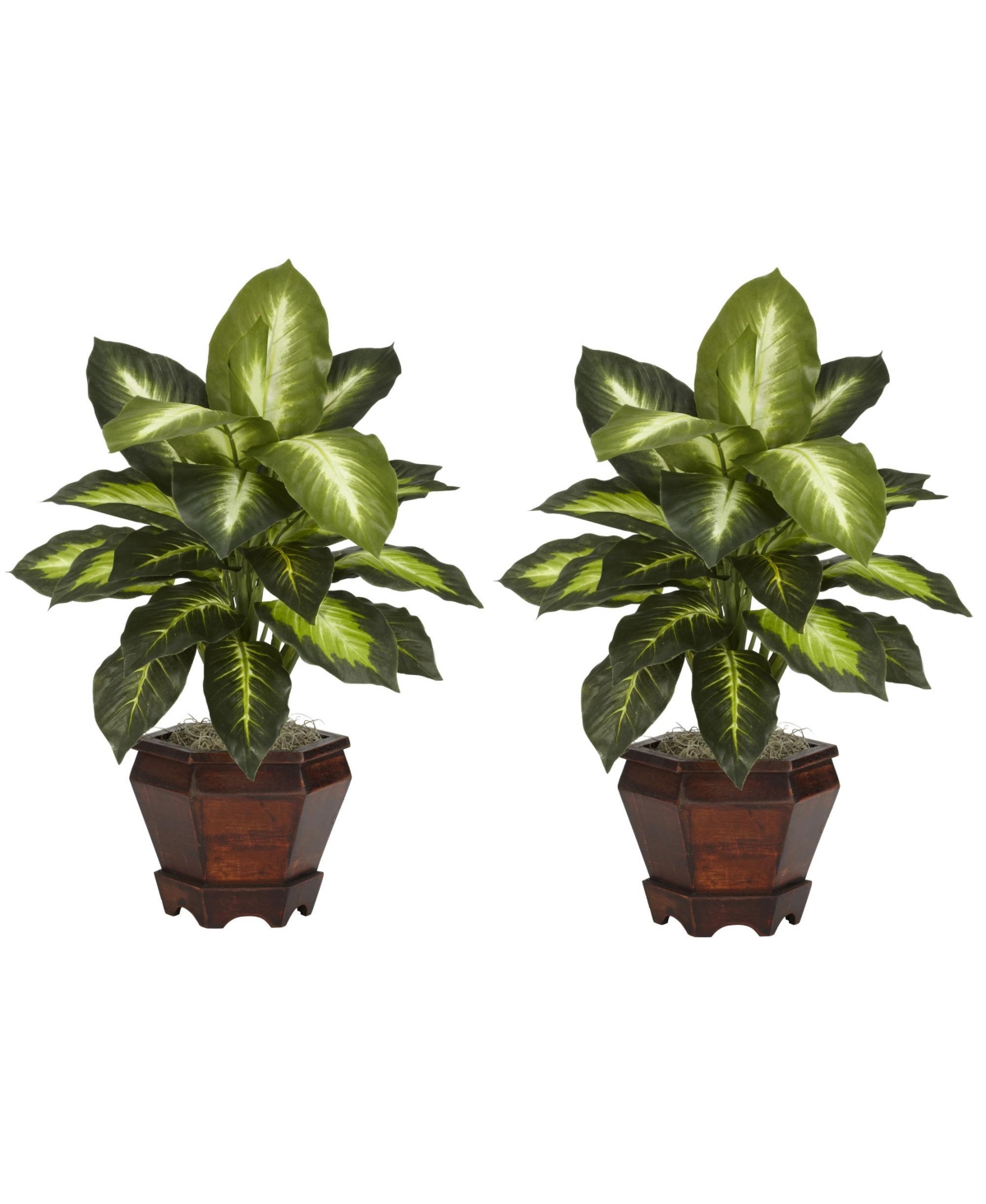 Silk Golden Dieffenbachia Plant in Wood Vase for Natural Home Decor (Set of 2) - Green