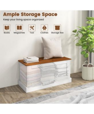 Large Storage Chest with Safety Metal Hinge-White