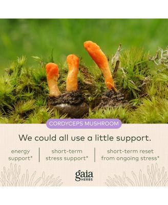 Adrenal Health Jump Start – Energy & Stress Support Supplement – Liquid Phyto-Caps (60 Count)