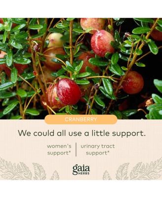 Cranberry Concentrate - Helps Maintain Urinary Tract Health - Made With Organic Cranberry Fruit Juice Extract in Convenient Capsules - 60 Liquid Phyto-Capsules (30-Day Supply)