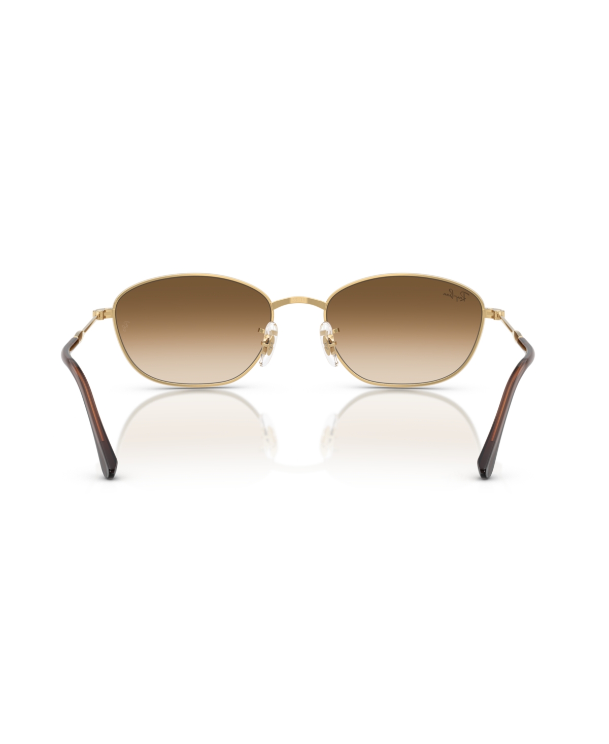 Ray Ban Ray-ban Sunglasses In Arista