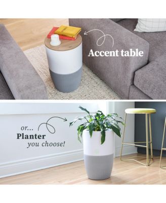 Bloom Air Purifier, Smart HEPA-13 Medical-Grade Filtration, Large Rooms (1,517 Sq. Ft.) with Walnut Accent Table