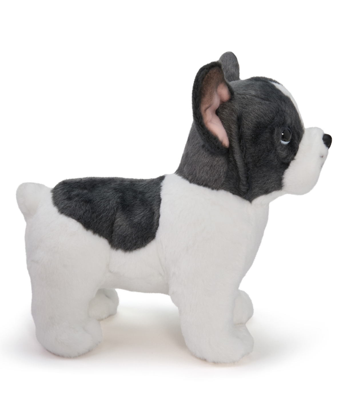 Geoffrey's Toy Box French Bulldog Puppy Dog Plush In No Color