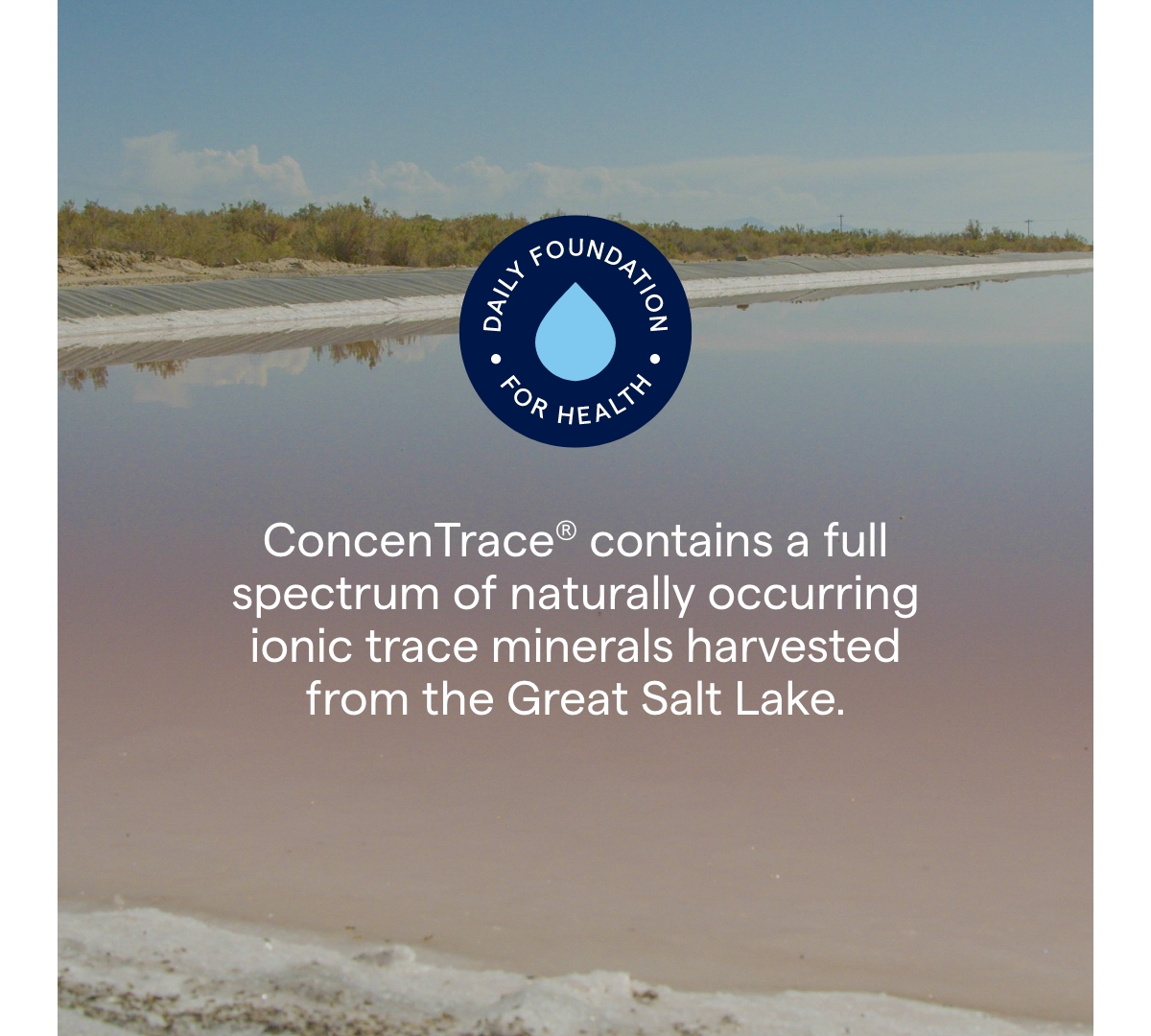Trace Minerals ConcenTrace Trace Mineral Drops - Liquid Supplement for Bone & Joint Support