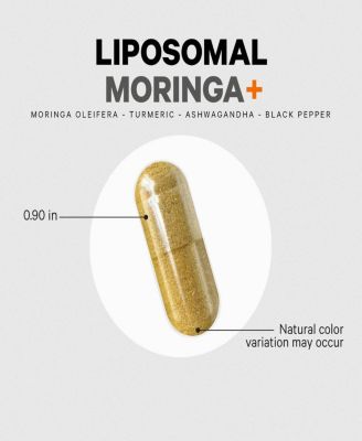Liposomal Moringa+ Supplement, 400mg Moringa 50:1 Extract - 20,000mg Moringa Oleifera Leaf Equivalent - Turmeric, Ashwagandha, 180 Capsules