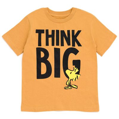 Boys Woodstock Snoopy Charlie Brown 3 Pack T-Shirts