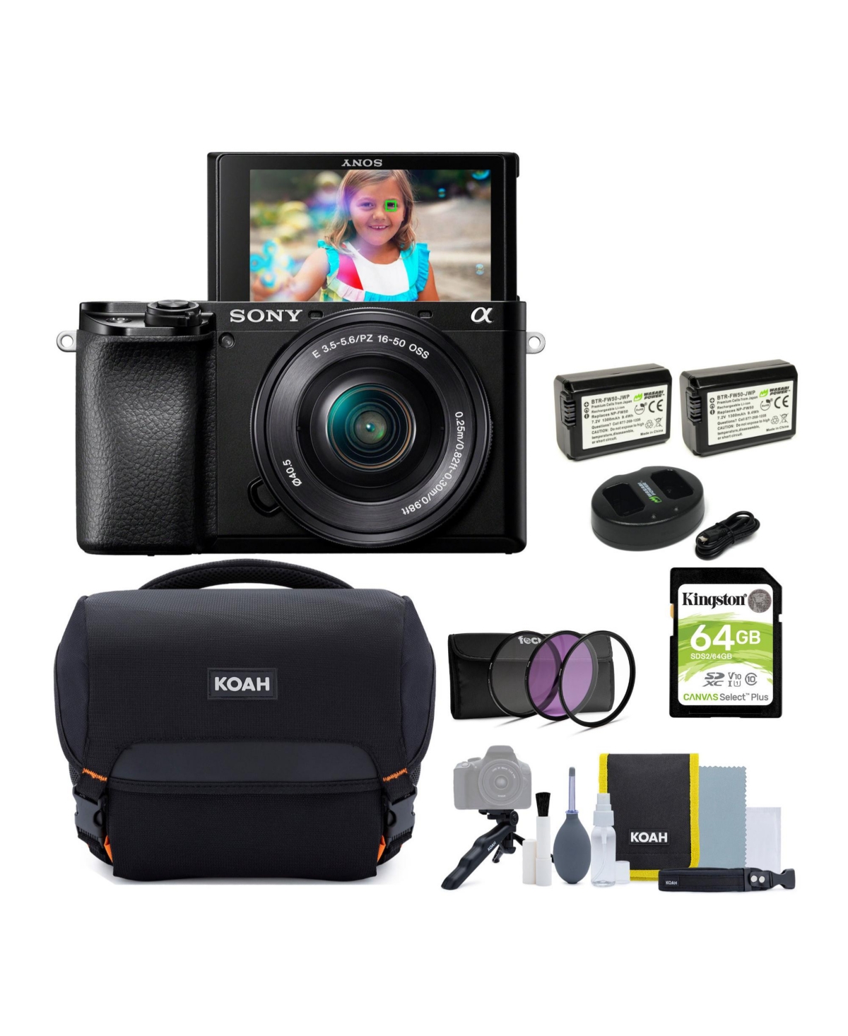 Sony Alpha a6100 Aps-c Mirrorless Camera with 16-50mm Lens Bundle