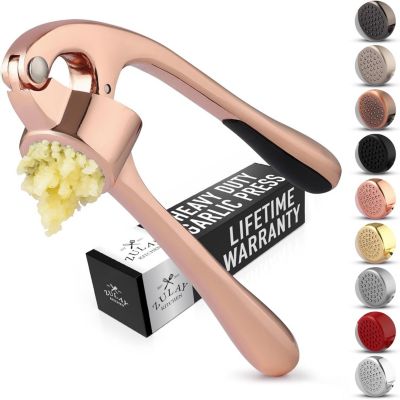 Stainless Steel Garlic Press – Durable, Easy-Squeeze Handle, Garlic Masher