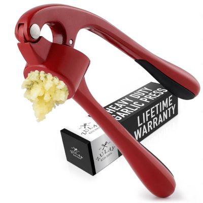 Stainless Steel Garlic Press – Durable, Easy-Squeeze Handle, Garlic Masher