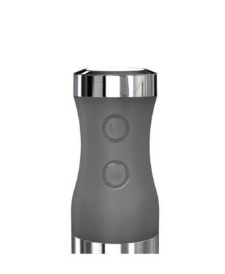 GE Immersion Blender & Accessory Kit