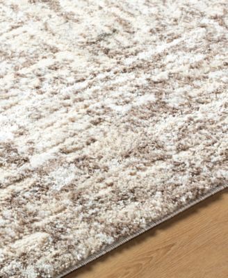 Andorra Plus ARP-2303 7'10"x10' Area Rug