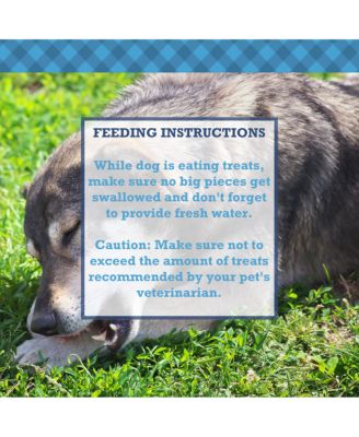 Whole Pig Ears Dog Treats - 100% Natural, Premium Pork Chews (15-Pack)