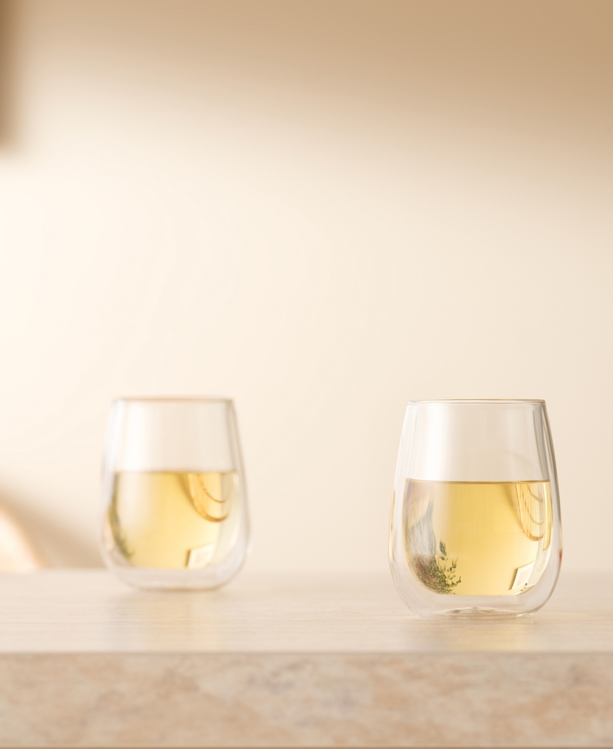Bodum Skal Double-walled White Wine Glasses, Set Of 2 In Clear