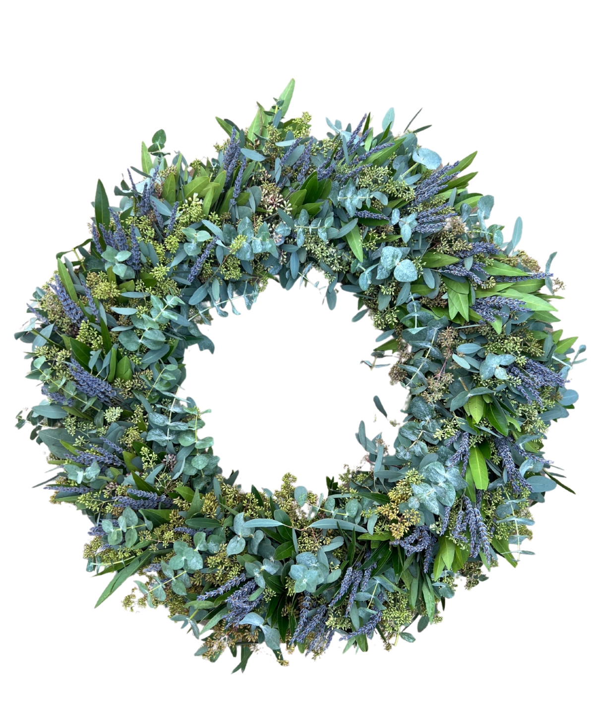 Real Aromatic Wreath Seeded Eucalyptus, Bayleaf, True Blue Eucalyptus and Dried Lavender, 22"