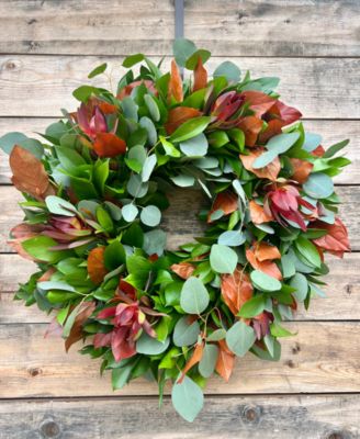 Fall Ruscus, Silver Dollar Eucalyptus, Orange Salal and Red Safari Real Aromatic Wreath, 22"