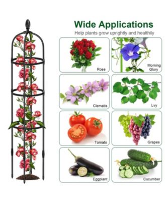 2-Pack Garden Obelisk Trellis Rustproof Tower for Climbing Plants, Flowers & Vegetable Support