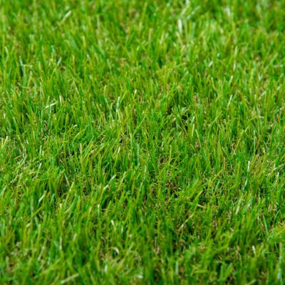 10' x 3' Artificial Turf Grass with Simulated Look & Feel UV Protection, & Drain Holes for Rain, 1.25" Height
