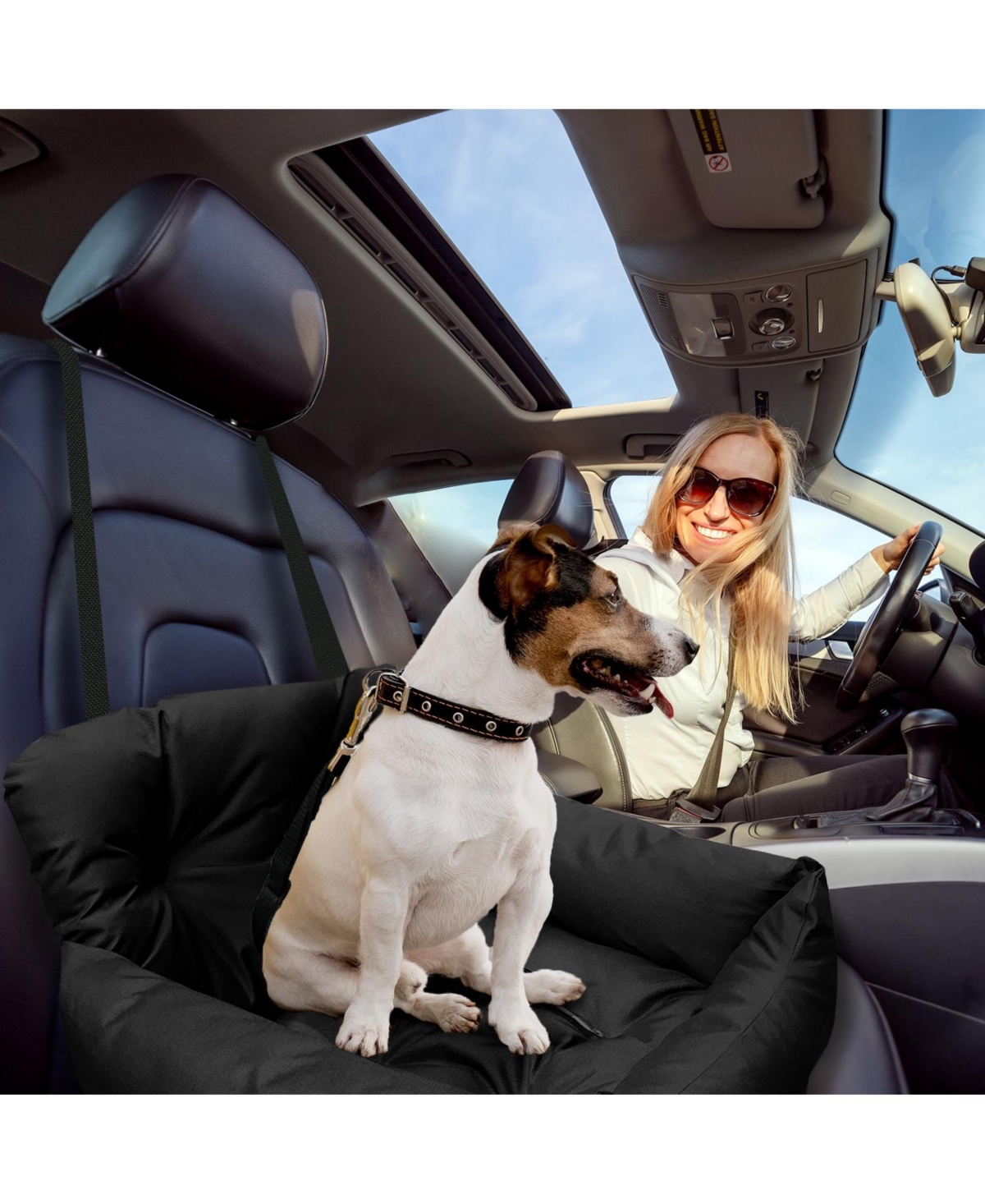 Co-Pilot Dog Beds for Cars, Booster Safety Car Seats for Small Dogs, Travel Pet Bed, Seat Belt Compatible