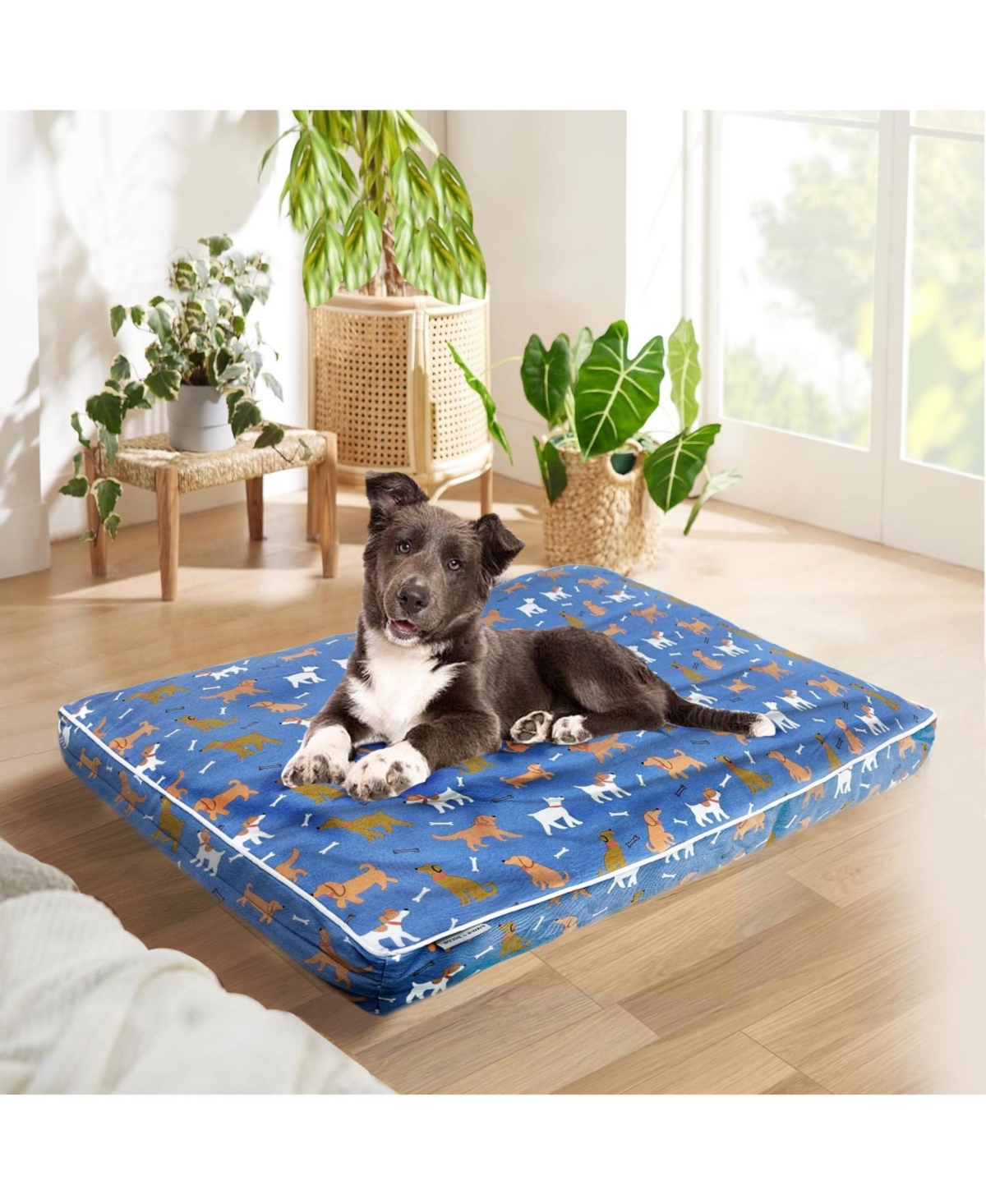 Paw & Decor Paws and Decor Orthopedic Dog Bed With Dogs and Bones Print, Comfortable & Supportive Pet Bed for Joint Health, Ideal for All Breeds - Blu