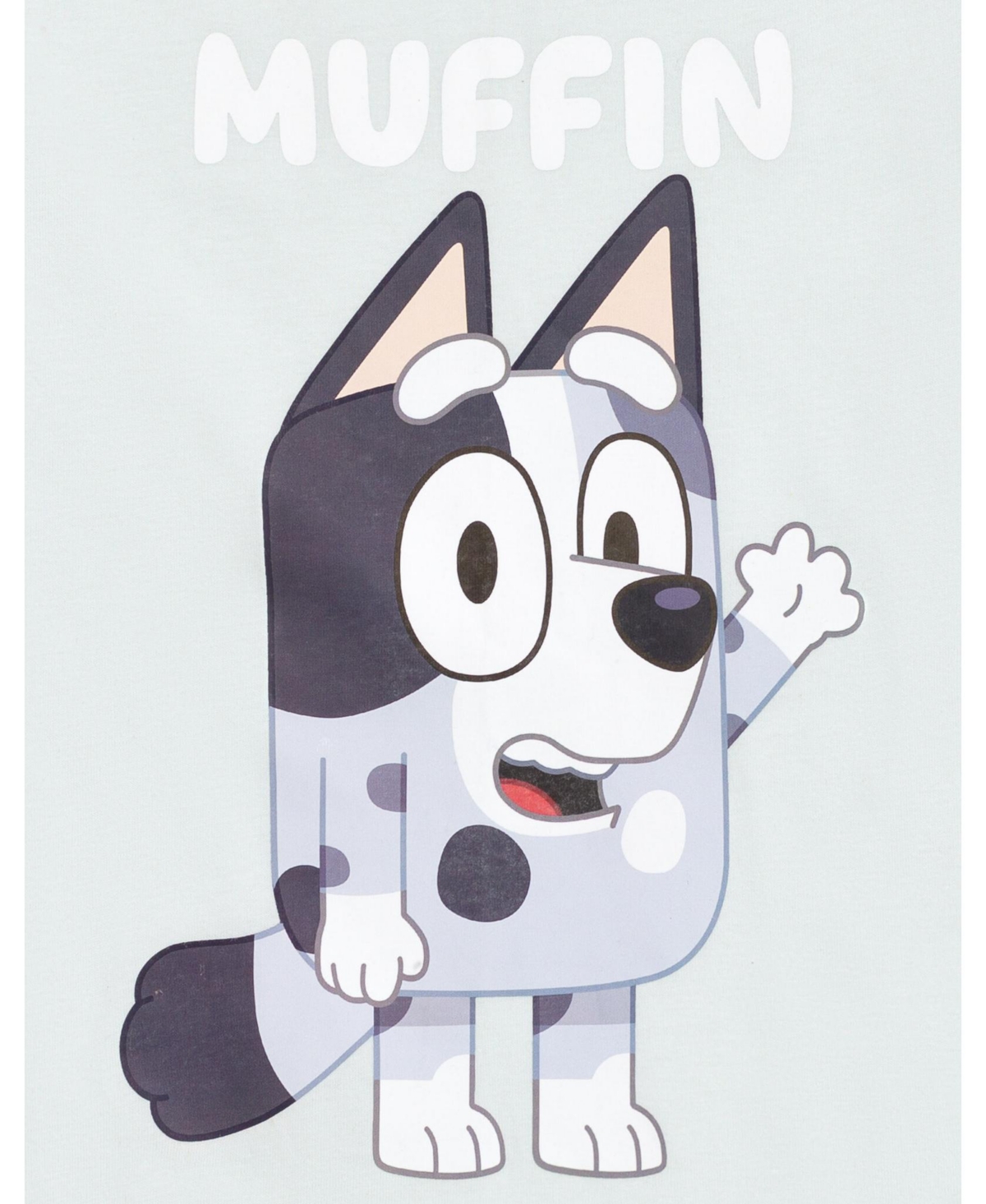 Bluey Toddler Boys Matching Family T-Shirt - blue