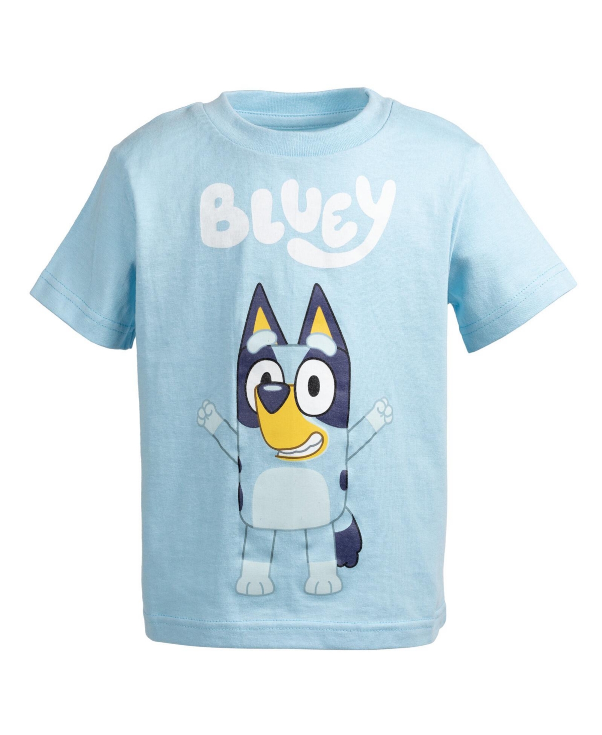 Boys Matching Family T-Shirt to (2T - 18-20) - Bluey, blue