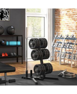 2-inch Weight Rack for Plates and 3 Bars, Olympic Weight Tree Bumper Plate Storage Holder, 660 lbs. Capacity, Black