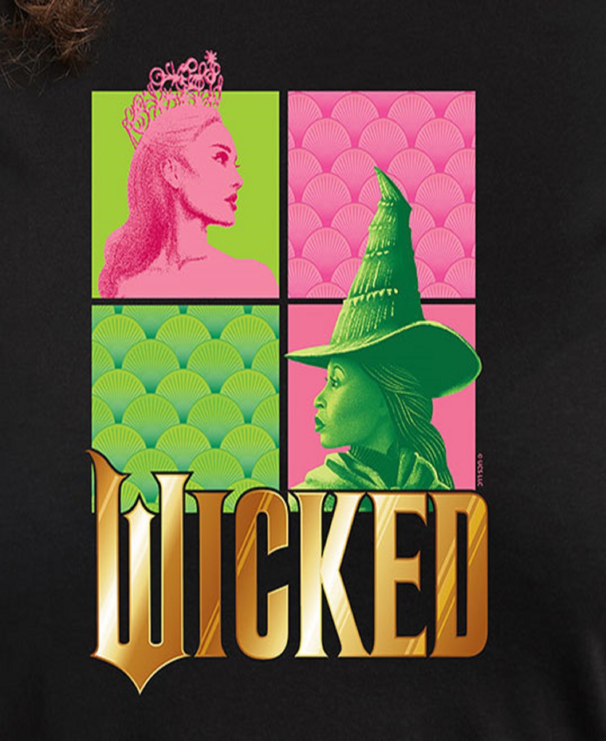 Hybrid Apparel Plus Size Wicked Elphaba Glinda Graphic Pullover T-shirt In Black