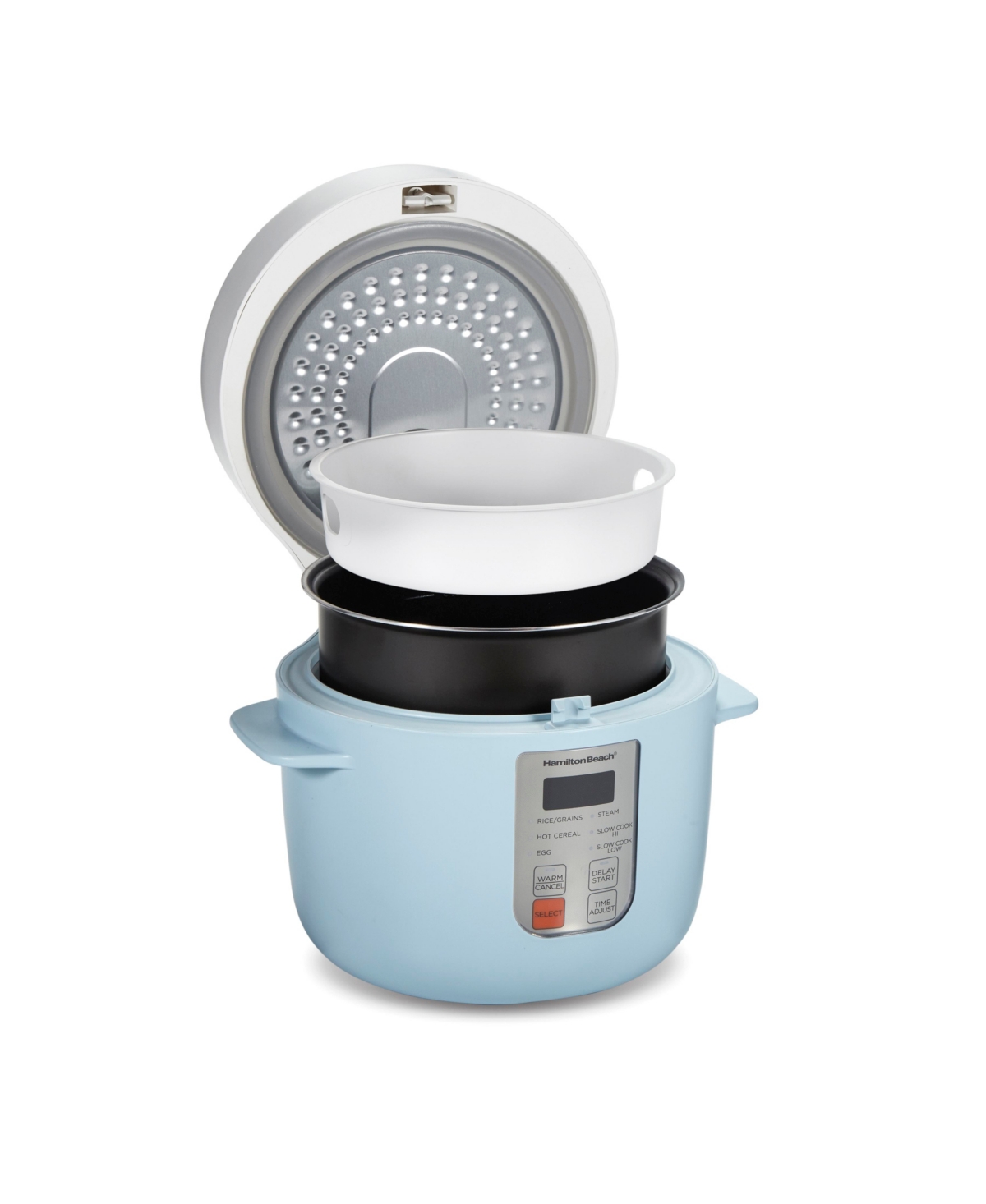 Hamilton Beach 12 Cup Multi Function Rice Cooker In Blue