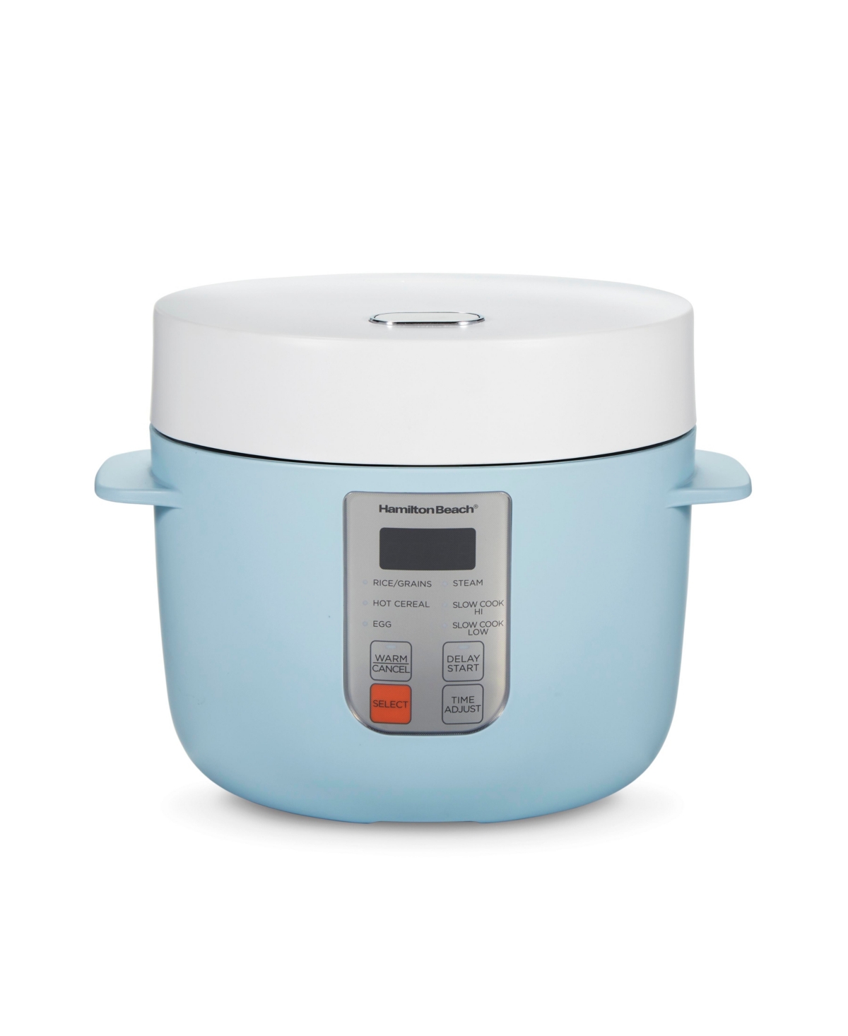 Hamilton Beach 12 Cup Multi Function Rice Cooker In Blue