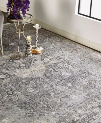 Feizy Sarrant 3966f Rug Collection In Gray