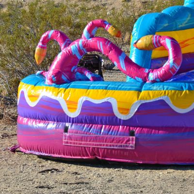 15 FT Mystery Jungle Commercial Grade Inflatable Water Slide with Pool (with Blower)
