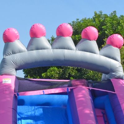14 FT Princess Tiara Commercial Grade Water Slide with Pool (with Blower)