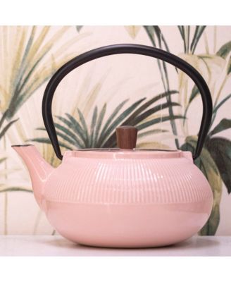 Enamelled Cast Iron Teapot